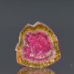 Schitterende Watermeloen-Toermalijn • 7,05 ct • Museumstuk -