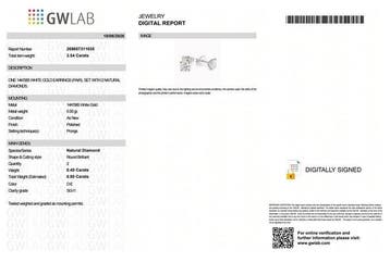 Zonder minimumprijs - Oorbellen - 14 karaat Witgoud -, Nieuw