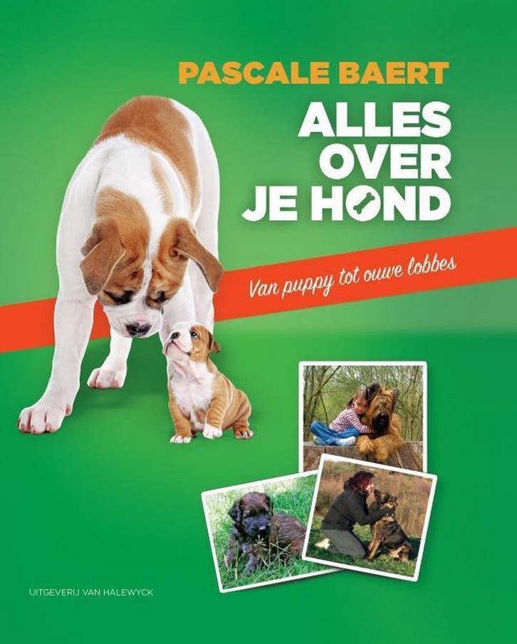 Alles over je hond 9789461311085 Pascale Baert, Livres, Loisirs & Temps libre, Envoi