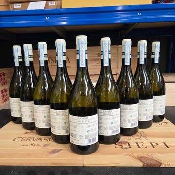 2022 Fontanafredda, Marin Langhe Riesling - Piedmont DOC - 9, Nieuw