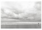 Roberto Cavalli (Italia, 1971) - Somewhere, by the ocean
