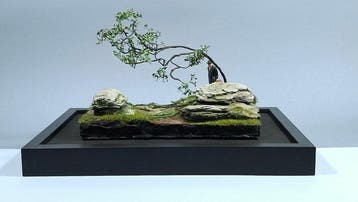 rkodzieo - Diorama Nadchodzi Deweloper – One of a Kind