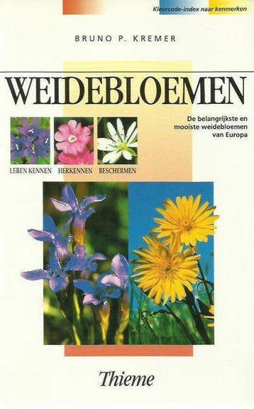 WEIDEBLOEMEN / Bloemen en planten 9789052101606 B.P. Kremer, Verzenden, Gelezen, B.P. Kremer