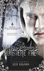 De duistere fae / The Iron Fey - Call of the Forgotten / 2, Verzenden, Gelezen, Julie Kagawa