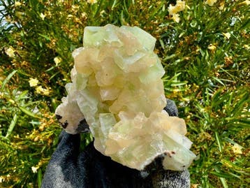 Prachtige groene apophylliet met stilbiet Kristal op matrix