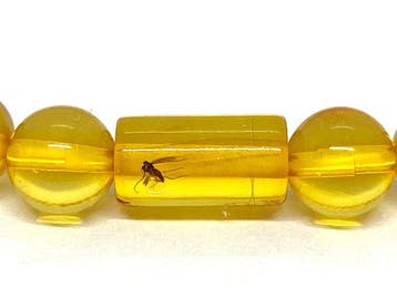 Het gefossiliseerde ooggetuige: Baltisch amber armband met
