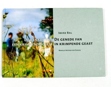 De Genade Van Een Krimpende Geest - Bal, Livres, Langue | Langues Autre, Verzenden