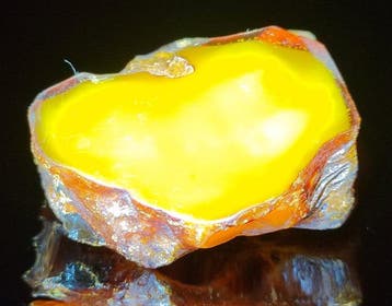 Baltisch amber - Hoogwaardige AAA- 80.47 g