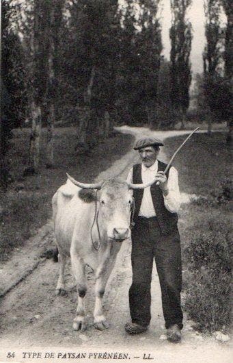 France - Agriculture, Animaux, Ville et paysages, Paysage,, Gelopen