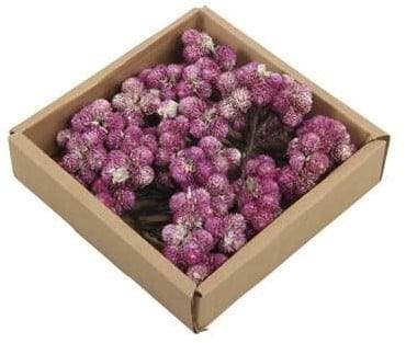 Daisy Possy op draad White Wash Purple doos 50 stuks, Huis en Inrichting, Woonaccessoires | Kunstplanten en Kunstbloemen, Nieuw