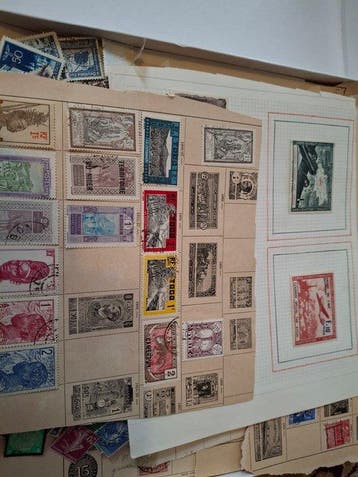 Monde - Monde, joli matériel dans une boîte, des feuilles,