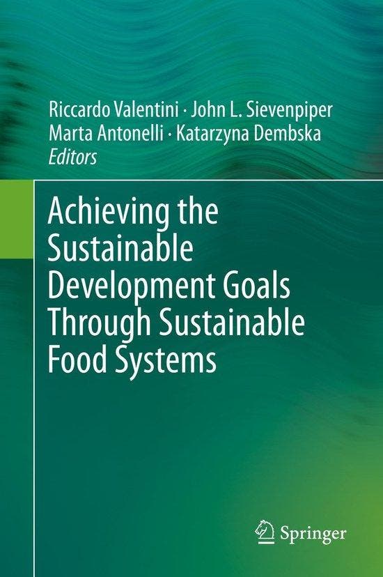 Achieving the Sustainable Development Goals Through, Boeken, Taal | Engels, Zo goed als nieuw, Verzenden