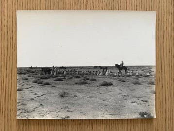 Gustav Arnold Vollenweider (1865-1937) - Algeria, c. 1890