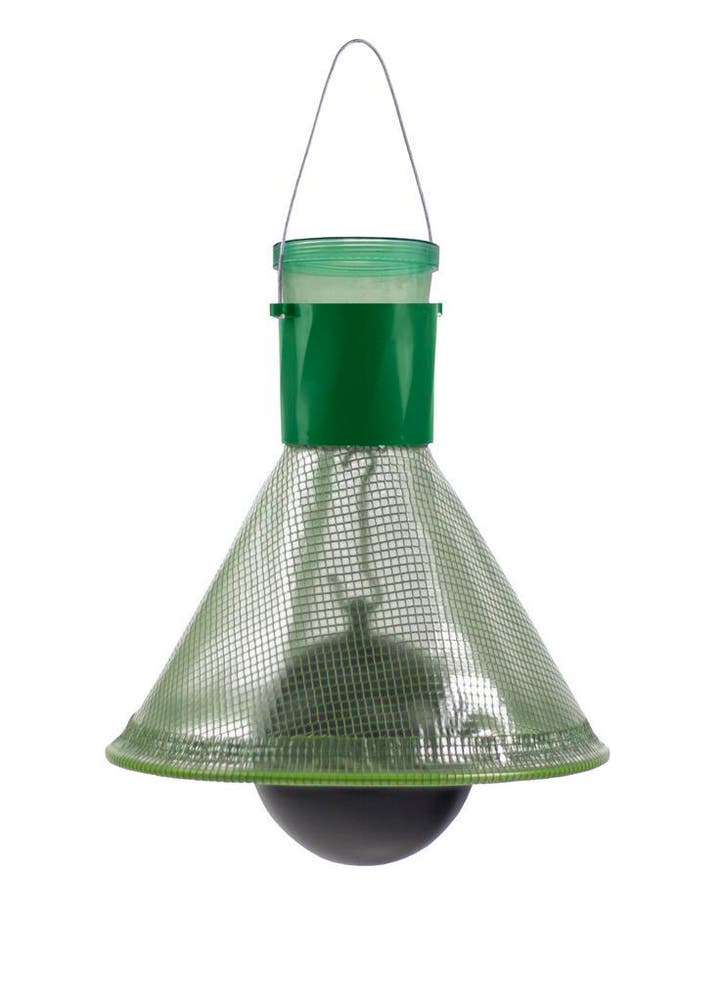 Dazenval en Wespenval MT-trap Insective, Animaux & Accessoires, Chevaux & Poneys | Produits de soin, Envoi