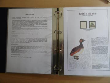 Belgique 2006 - Collection Buzin ( Geoorde Fuut ) sur des