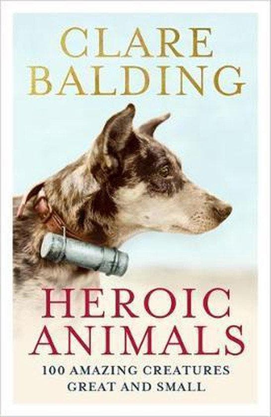 Heroic Animals 100 Amazing Creatures Great and Small, Livres, Langue | Anglais, Envoi