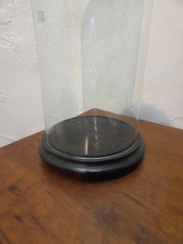 Globe - stolp - antiek - 1901-1920 - Grande cloche antique, Antiek en Kunst