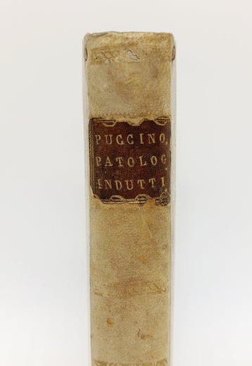 Francesco Puccinotti - Patologia Induttiva - 1828