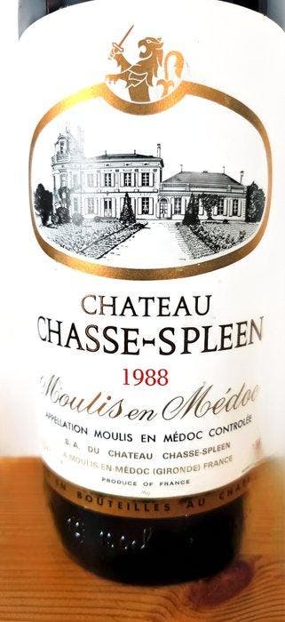 1988 Château Chasse-Spleen - Bordeaux - 1 Magnum (1,5 L)