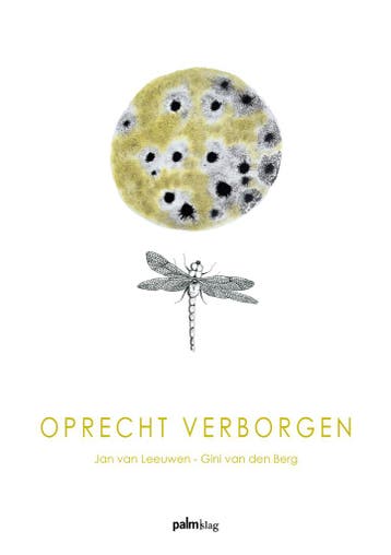Oprecht verborgen 9789493343351 Jan Van Leeuwen, Verzenden, Zo goed als nieuw, Jan Van Leeuwen