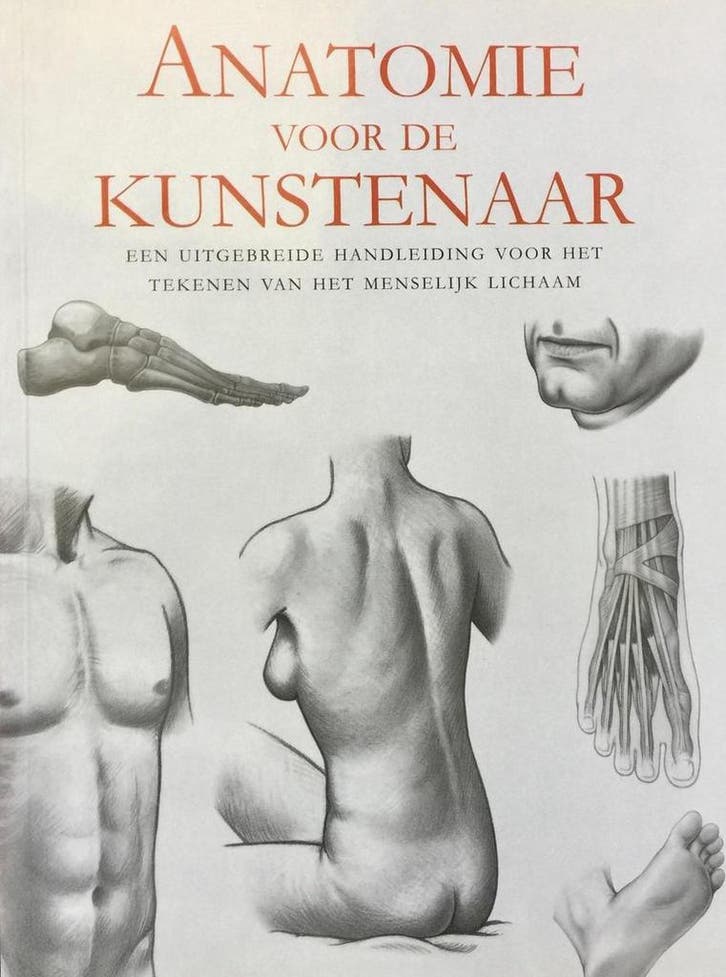Anatomie voor de kunstenaar 9781405421096 Rob de Ridder, Boeken, Kookboeken, Zo goed als nieuw, Verzenden