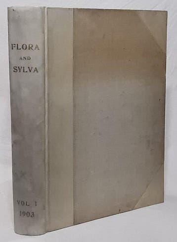 William Robinson (1838–1935) - Flora and Sylva [18 Hand