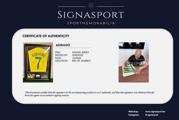 Brasil - Wereldkampioenschap Voetbal - Adriano -