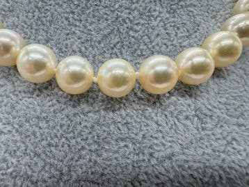 Zonder minimumprijs - Choker halsketting Zilver Parel -