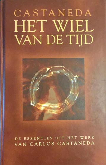 WIEL VAN DE TIJD 9789021586946 C. Castaneda, Boeken, Filosofie, Verzenden, Zo goed als nieuw, C. Castaneda