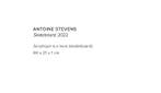 Antoine Stevens (1987) - Skateboard