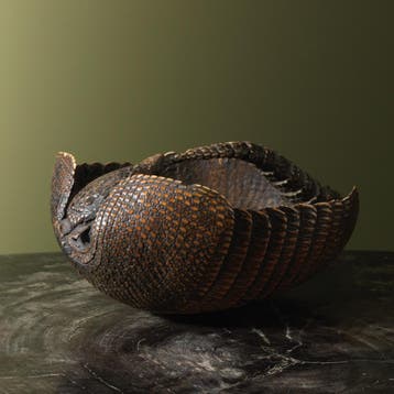Gordeldier Mandje Antiek Taxidermie Opgezette Dieren By Max, Ophalen of Verzenden, Nieuw, Wild dier, Opgezet dier