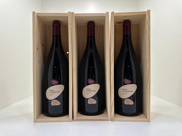 2020 Pago Florentino, Vino de Pago - Ribera del Duero - 3, Collections, Vins