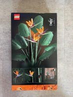 Lego Set - 10289 - Botanical Collection - Botanical, Kinderen en Baby's, Speelgoed | Duplo en Lego, Nieuw