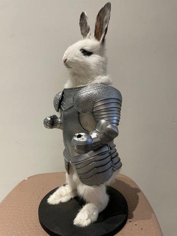 Konijnridder Taxidermie volledige montage - taxidermy, Antiek en Kunst