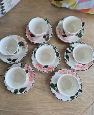 Villeroy & Boch - Koffie- en theeservies (14) - Wild-Rose,