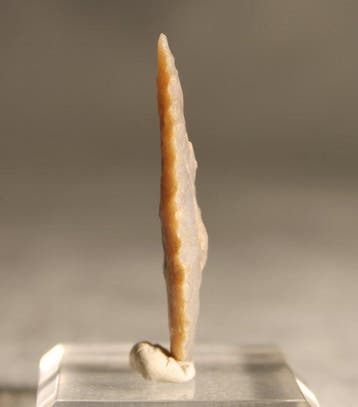Néolithique Silex Tête de flèche - 3.6 cm (Sans prix de