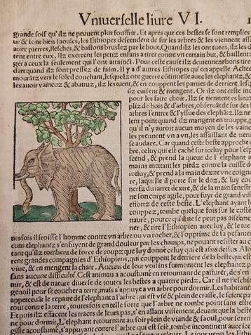 Sebastian Münster (1489–1552) - Cosmographie Universelle -