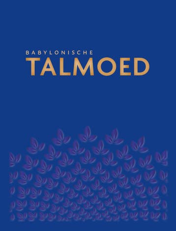 Babylonische Talmoed Sanhedrien 1 en 2 9789493220218, Verzenden, Jacob de Leeuwe