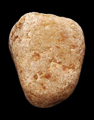 Paleolithisch - Zeer zeldzame Australopithecus-kei -