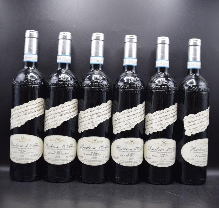 2020 Costa di Bussia, Barbera d’Alba Vigna Campo del Gatto -, Collections, Vins