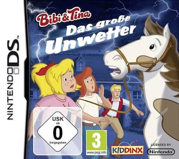 Bibi & Tina Das Grosse Unwetter (Buitenlands Doosje), Games en Spelcomputers, Games | Nintendo DS, Zo goed als nieuw, Ophalen of Verzenden