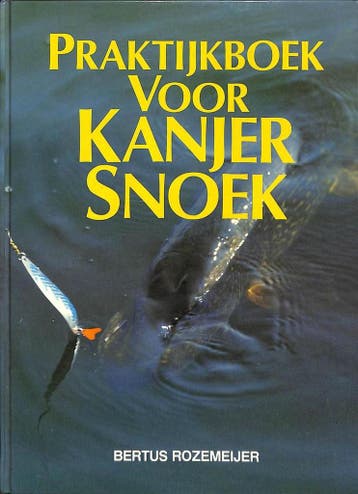PRAKTYKBOEK KANJER SNOEK 9789027419644 Rozemeyer, Verzenden, Gelezen, Rozemeyer