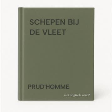 SCHEPEN BIJ DE VLEET 9789067073905 PRUDHOMME, Verzenden, Gelezen, PRUD'HOMME