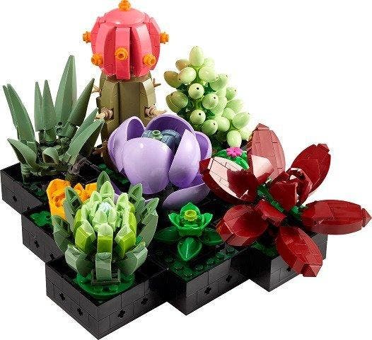 Lego Set - 10309 - Botanical Collection - Botanical, Enfants & Bébés, Jouets | Duplo & Lego