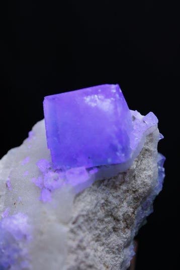 Fluorite fluorescente époustouflante Collection de cristaux, Collections
