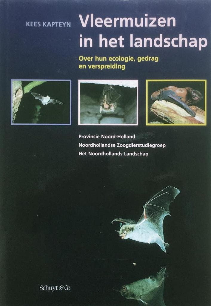 VLEERMUIZEN IN HET LANDSCHAP 9789060973929 K. Kapteyn, Boeken, Wetenschap, Gelezen, Verzenden