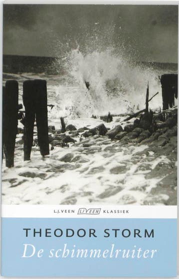 De schimmelruiter / Veen klassiek 9789020409697 T. Storm, Verzenden, T. Storm