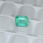 Zonder minimumprijs Smaragd - 3.84 ct - International, Nieuw