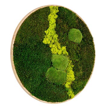 Mosschilderij Rond 40 cm Ongelakt Eiken - Uppsala Lentegroen, Verzenden, Nieuw
