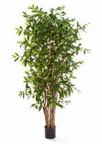 Kunstplant Dracaena Surculosa 150 cm, Huis en Inrichting, Kamerplanten, Verzenden